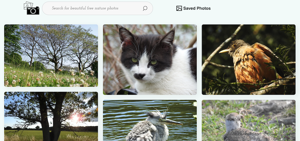 NaturePic4Free: il sito per trovare e scaricare immagini della Natura gratis