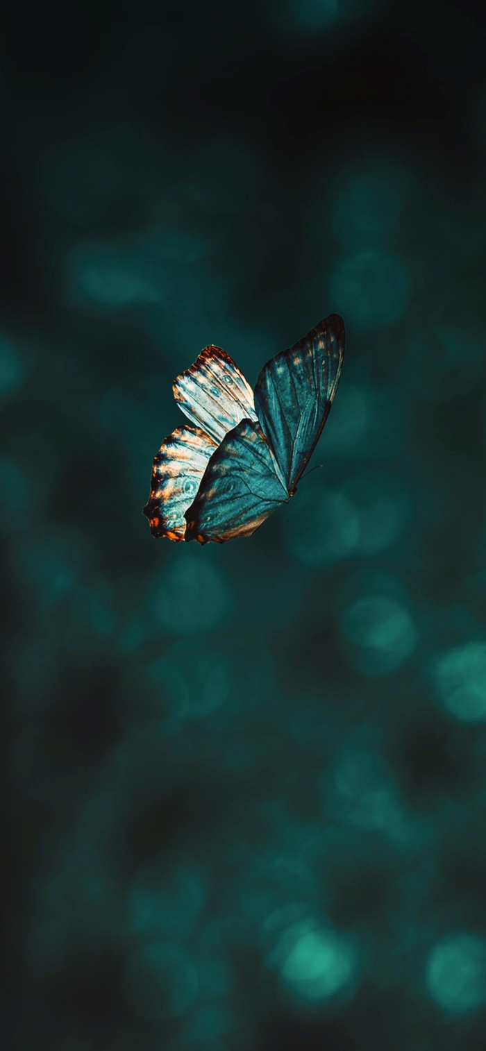 Farfalla blu in volo