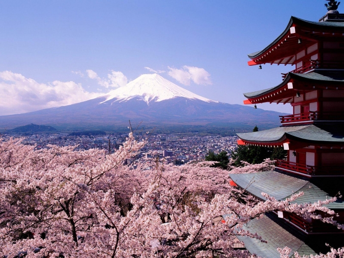 Monte Fuji Primavera