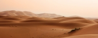 Desert Sand Landscape